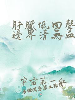 肝脏低回声结节边界清无血流信号