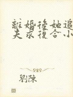 离婚后她追着前夫求复合小说