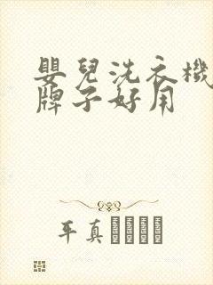 婴儿洗衣机哪个牌子好用