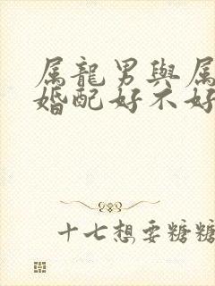 属龙男与属兔女婚配好不好