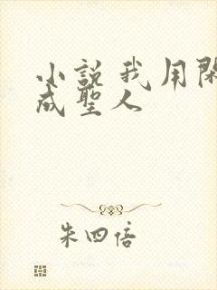 小说 我用闲书成圣人