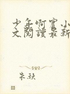 少年啊宾小说全文阅读最新章节txt