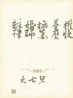 离婚抚养权诉讼律师怎么收费