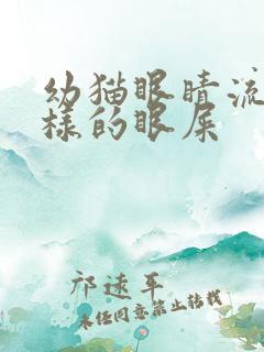 幼猫眼睛流脓一样的眼屎