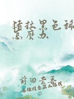 猪拉黑色稀粪便怎么办