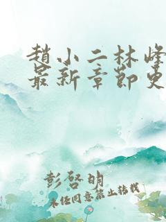 赵小二林峰宁欣最新章节更新情况