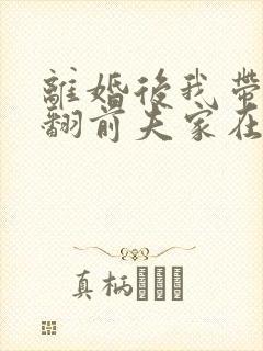 离婚后我带娃虐翻前夫家在线播放