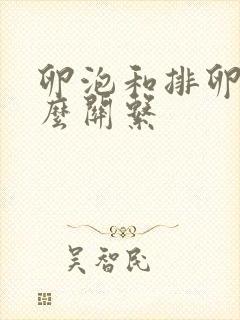 卵泡和排卵是什么关系