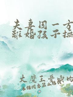 夫妻因一方出轨离婚孩子抚养权怎么判定