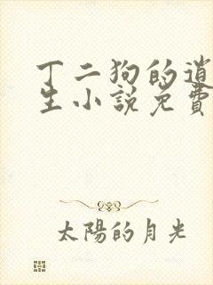 丁二狗的逍遥人生小说免费读