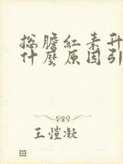 总胆红素升高是什么原因引起的