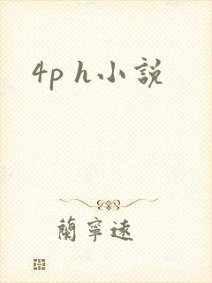 4p h小说