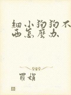 细小狗狗不吃东西怎么办