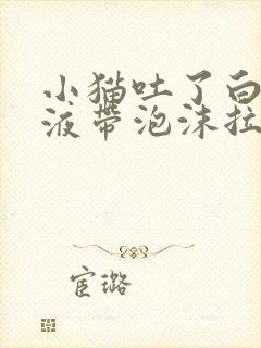 小猫吐了白色粘液带泡沫拉稀