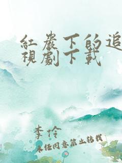 红岩下的追捕电视剧下载