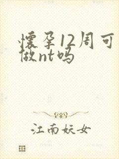 怀孕12周可以做nt吗