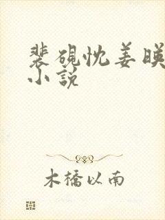 裴砚忱姜映晚的小说