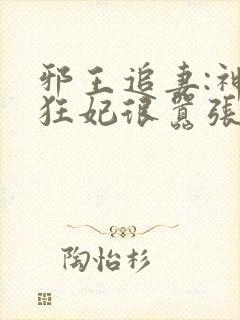 邪王追妻:神医狂妃很嚣张