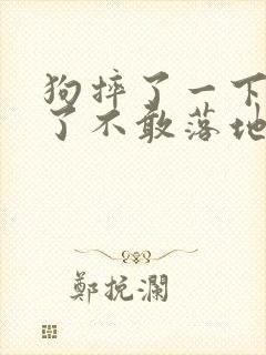 狗摔了一下腿瘸了不敢落地