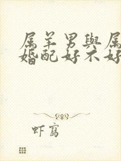 属羊男与属蛇女婚配好不好