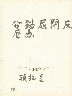 公猫尿闭反复怎么办