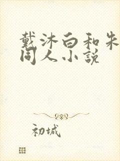 戴沐白和朱竹清同人小说