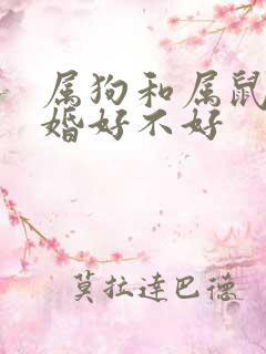 属狗和属鼠的结婚好不好