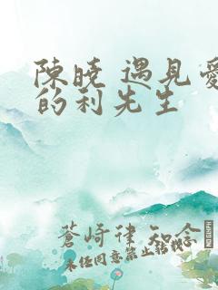 陈晓 遇见爱情的利先生