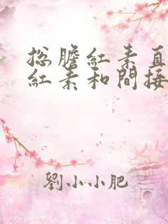 总胆红素直接胆红素和间接胆红素都高怎么办