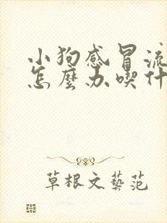 小狗感冒流鼻涕怎么办吃什么药