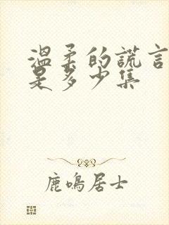 温柔的谎言吻戏是多少集