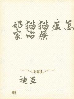 奶猫猫瘟怎么在家治疗