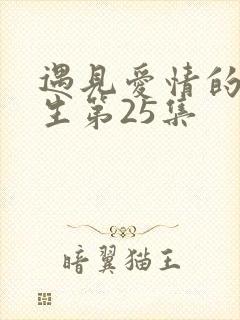 遇见爱情的利先生第25集