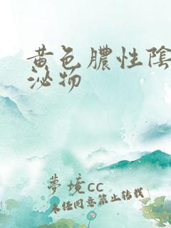 黄色脓性阴道分泌物