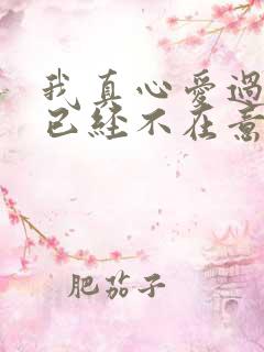 我真心爱过你你已经不在意是什么歌