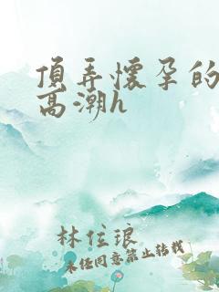 顶弄怀孕的孕妇高潮h