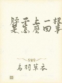 脖子上一根筋疼是怎么回事