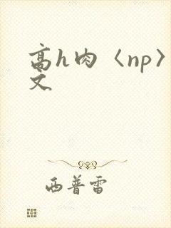 高h肉〈np〉文
