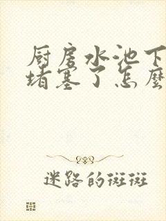 厨房水池下水道堵塞了怎么办