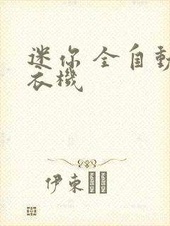 迷你 全自动洗衣机