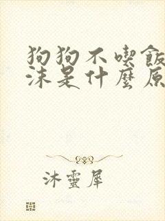 狗狗不吃饭吐白沫是什么原因