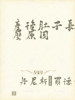 产后肚子长毛什么原因