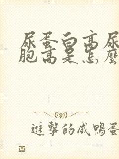 尿蛋白高尿红细胞高是怎么回事