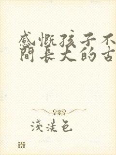 感慨孩子不经意间长大的古句