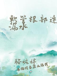 软管根部连接处漏水