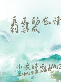 真正的感情是水到渠成