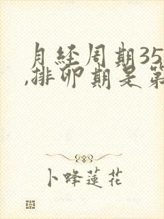 月经周期35天,排卵期是第几天?