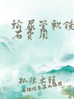 输尿管软镜碎结石费用