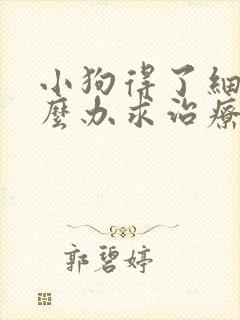 小狗得了细小怎么办求治疗方法