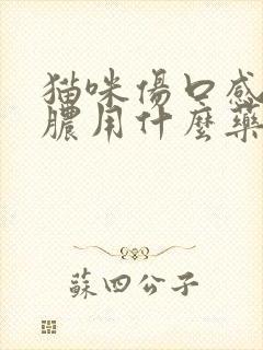 猫咪伤口感染化脓用什么药好得快